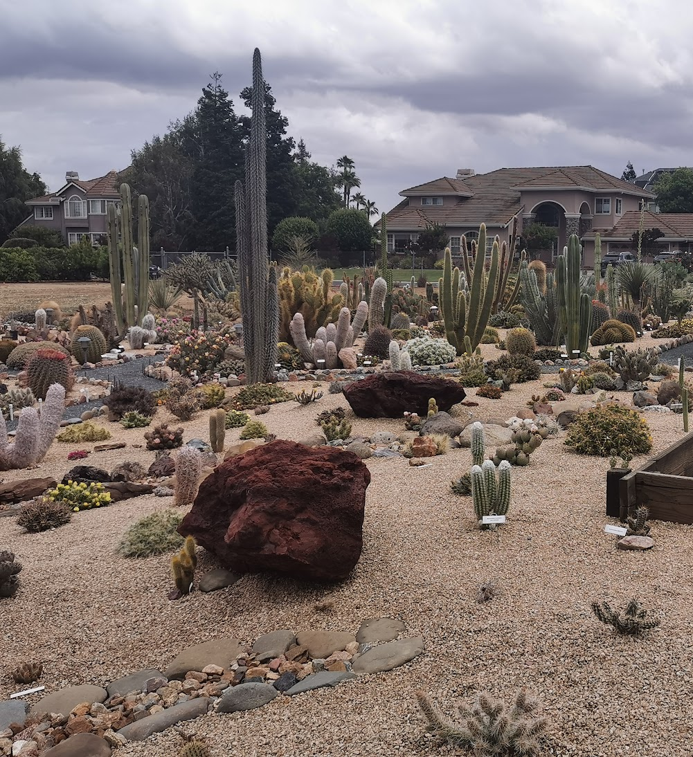 View of the cactus garden to be toured